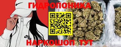 apvp Партизанск