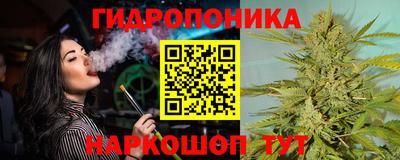 apvp Партизанск